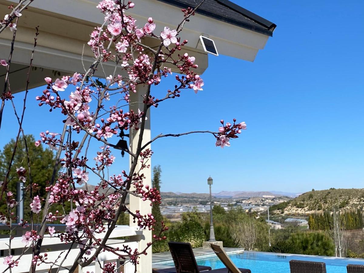 Cehegín Villa Luisa מראה חיצוני תמונה